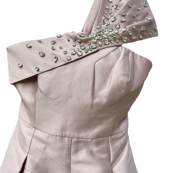$1095 NWT Sachin & Babi Blush Gown Crystal Embellished - Picture 3 of 8
